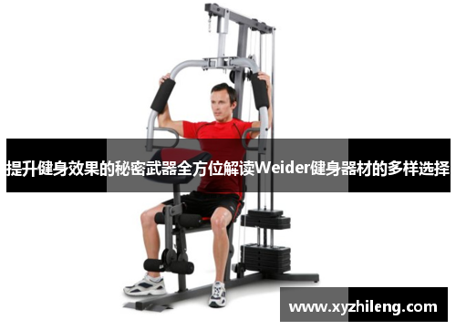提升健身效果的秘密武器全方位解读Weider健身器材的多样选择