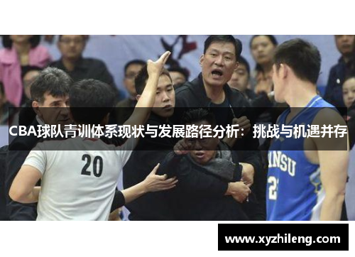CBA球队青训体系现状与发展路径分析：挑战与机遇并存