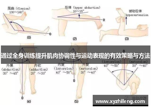 通过全身训练提升肌肉协调性与运动表现的有效策略与方法