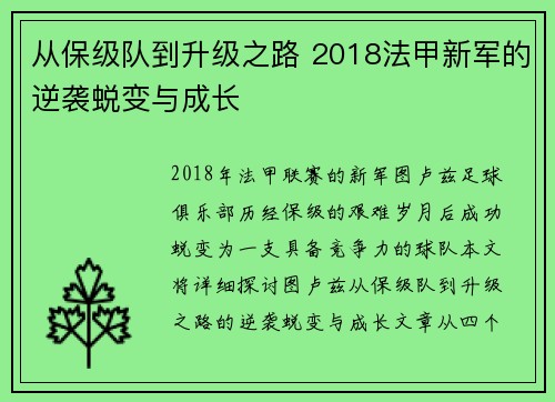 从保级队到升级之路 2018法甲新军的逆袭蜕变与成长