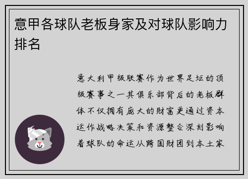 意甲各球队老板身家及对球队影响力排名